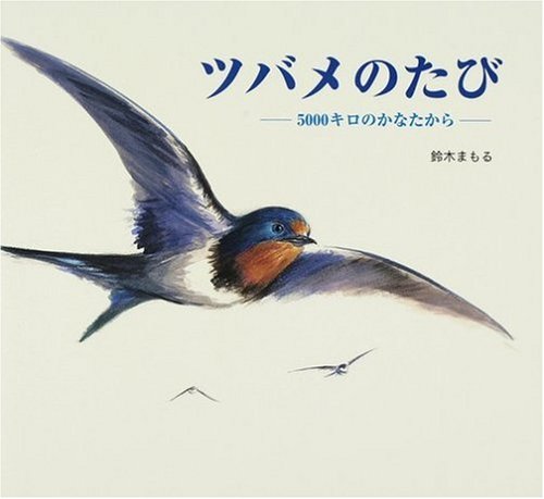 ３月の推し絵本『ツバメのたび−5000キロのかなたから−』