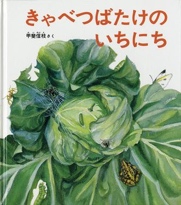 ６月の推し絵本「きゃべつばたけのいちにち」