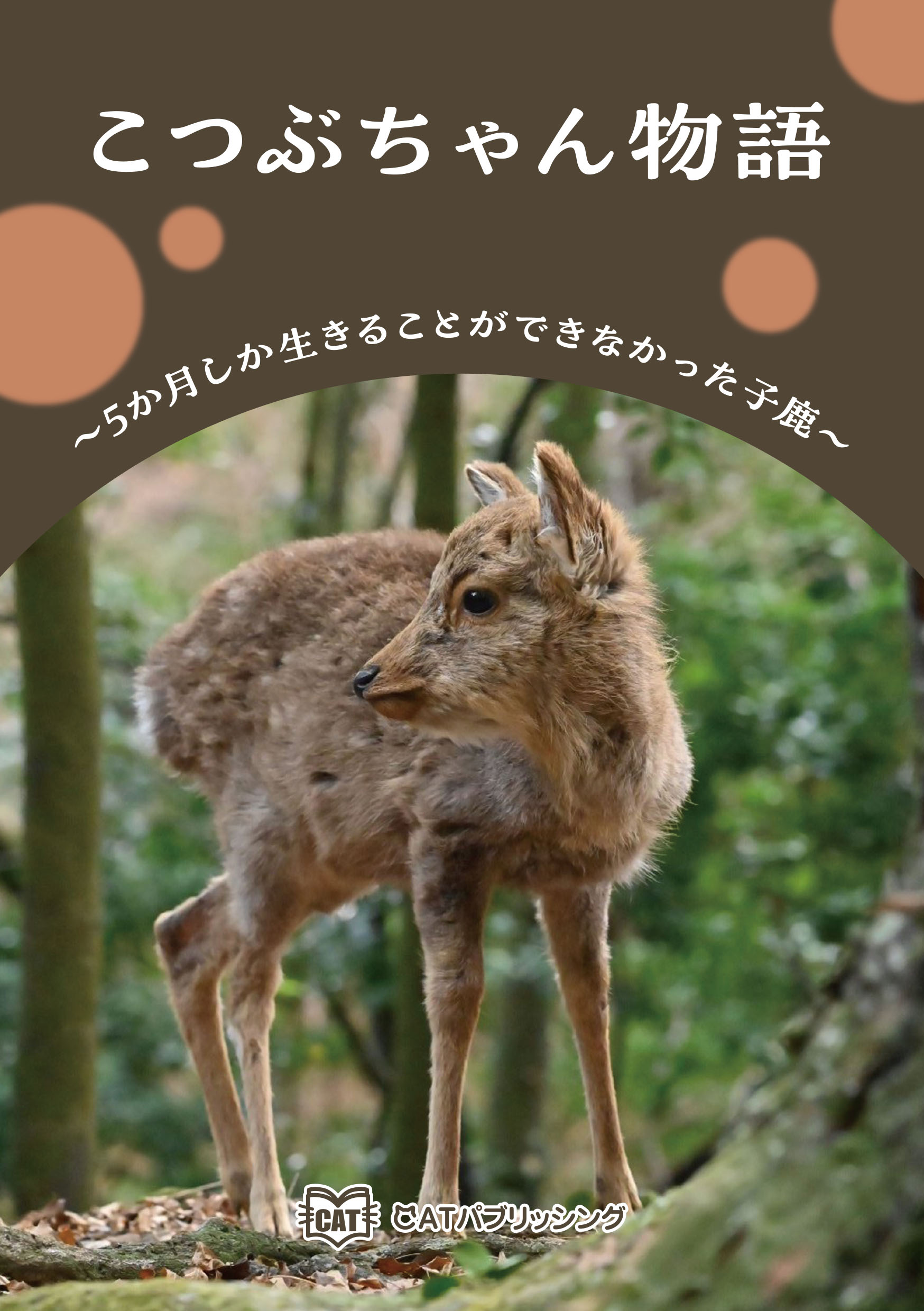 『こつぶちゃん物語』