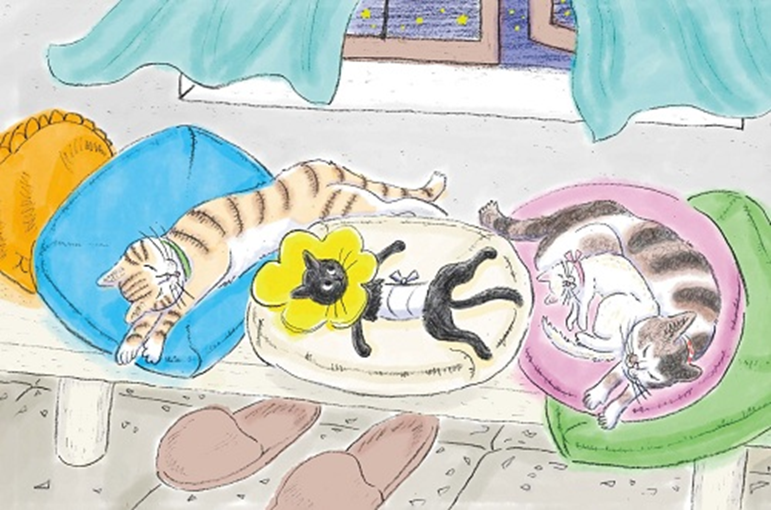 「スターニャン ほしねこ くろの おはなし」