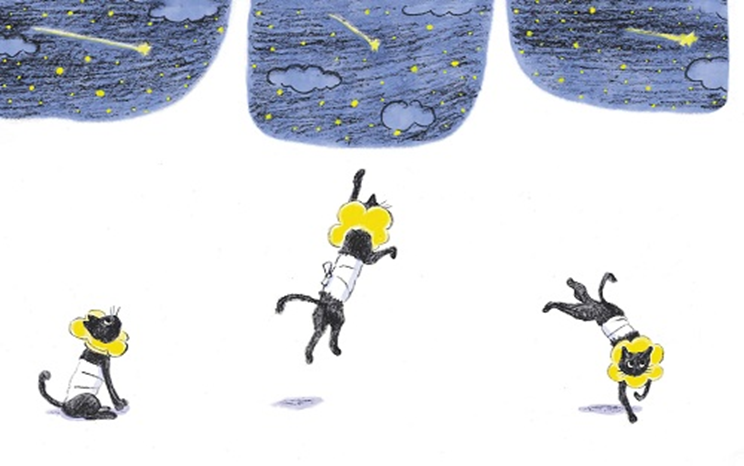 「スターニャン ほしねこ くろの おはなし」