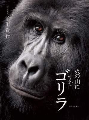 5月の推し絵本