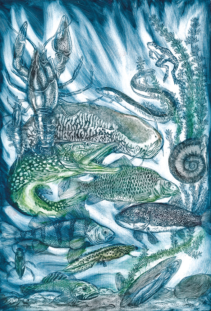 『水中の生き物』ヤナ・ホップ・ヤノヴァー_第26回世界こども図画コンテスト 金賞作品