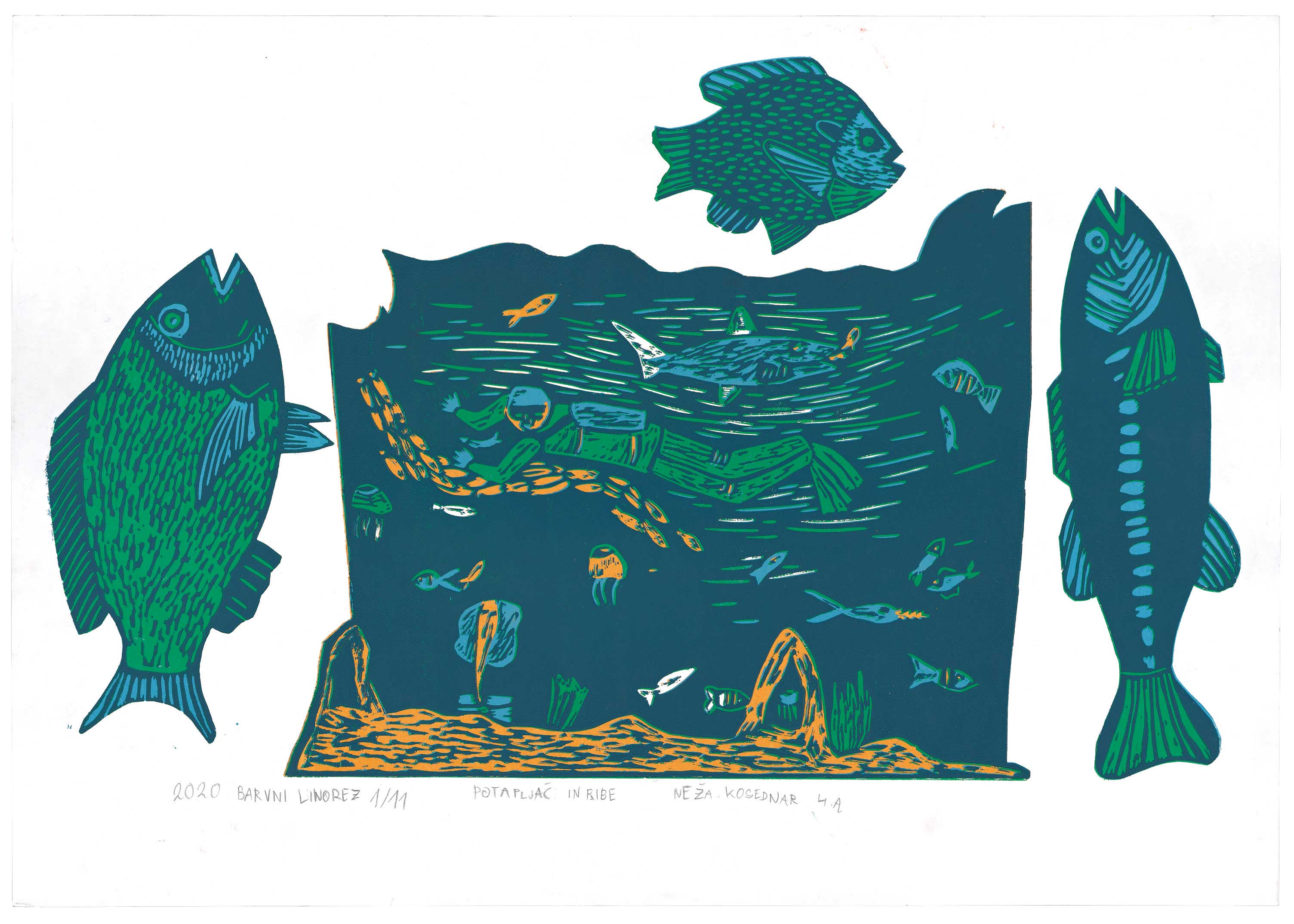 『ダイバーと魚』コセドナール ネジャ_第28回世界こども図画コンテスト 金賞作品